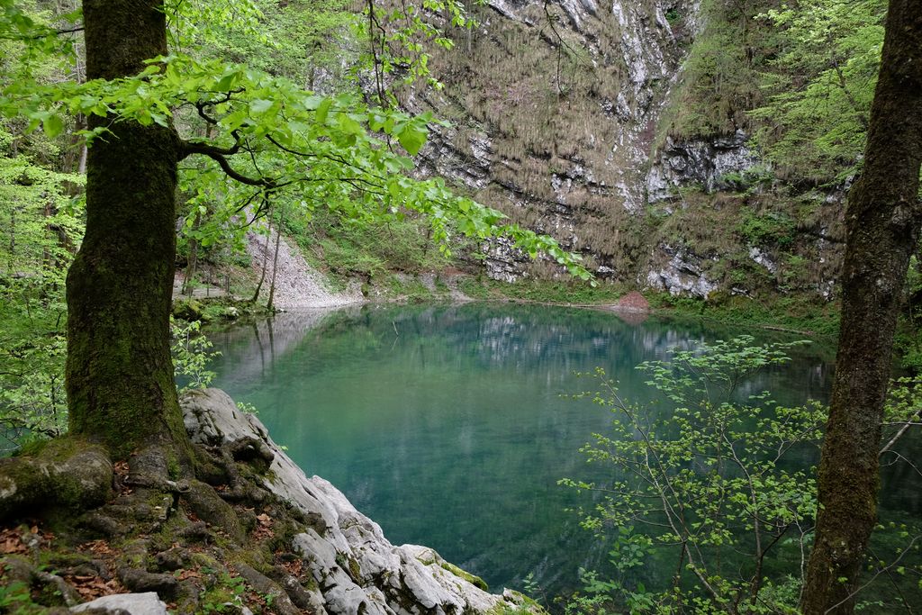 Photo №3 of Wild Lake