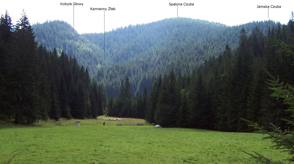 Photo №2 of Jamska Czuba