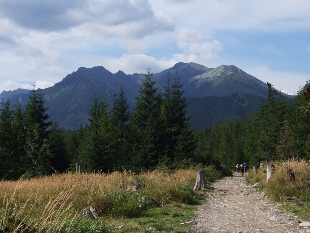 Photo №2 of Pośredni Wołoszyn