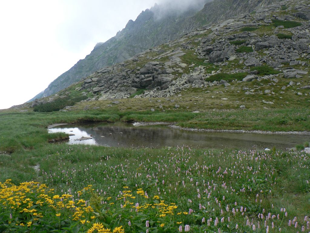 Photo №4 of Kvetnicové pleso