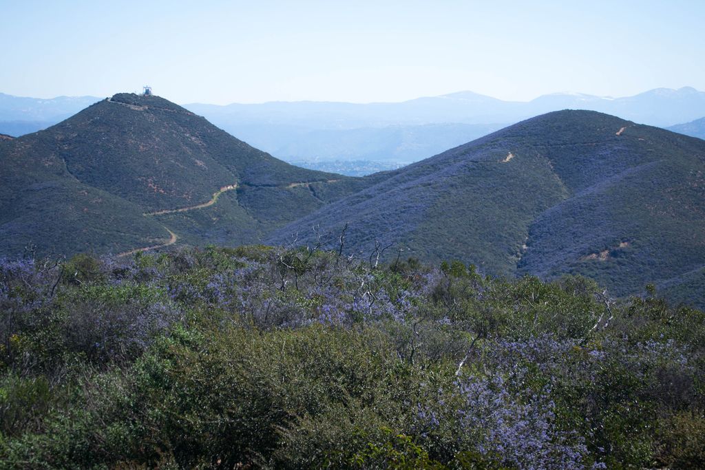 Photo №2 of Double Peak