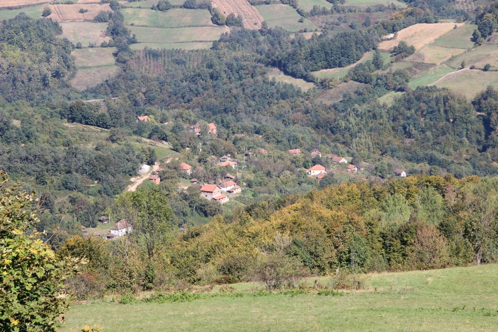 Photo №2 of Dragodol