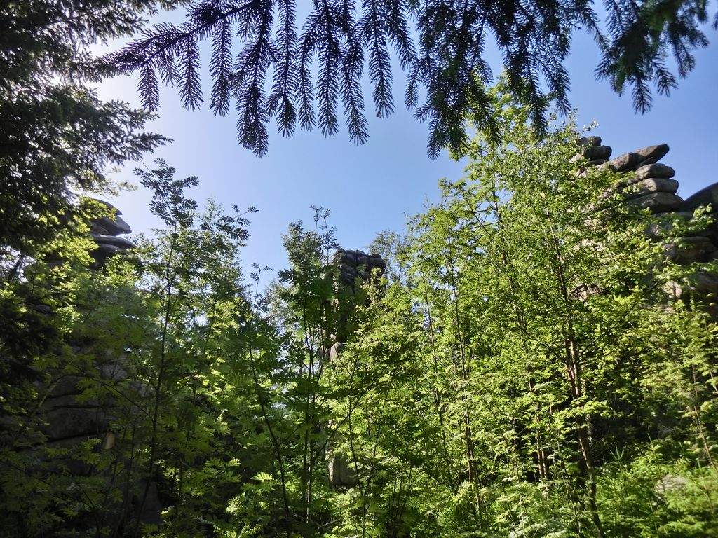 Photo №2 of Drei Brüder