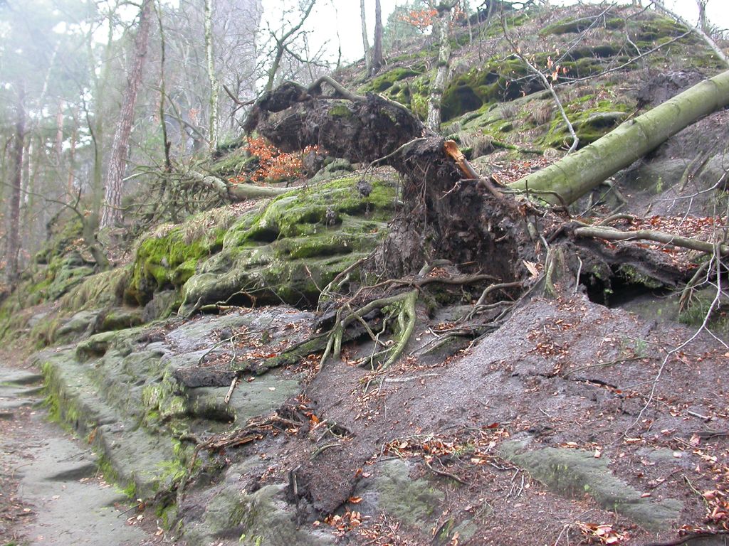 Photo №5 of Mönch