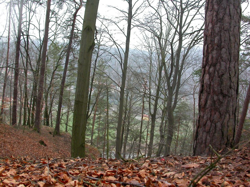 Photo №6 of Mönch