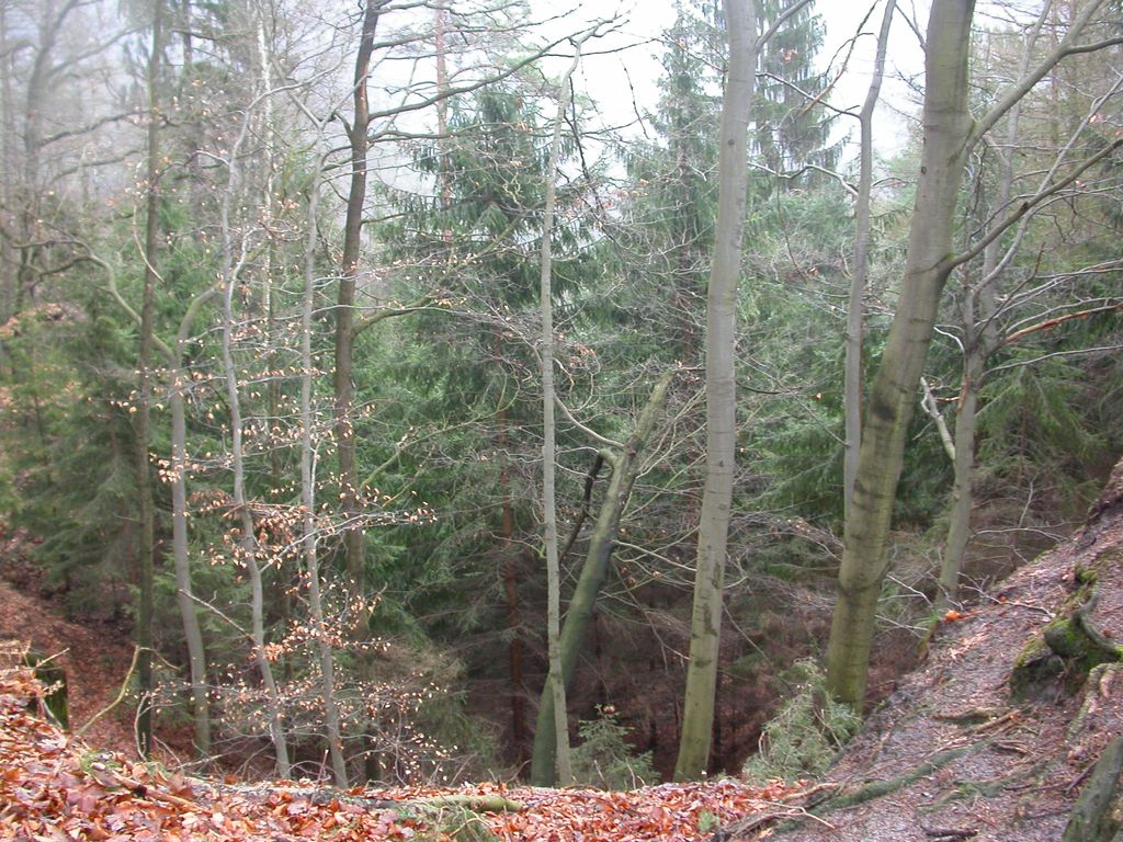 Photo №7 of Mönch