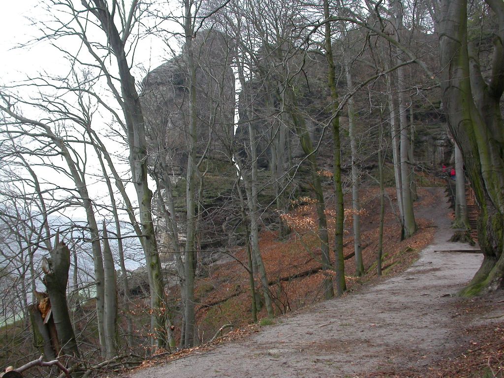 Biene