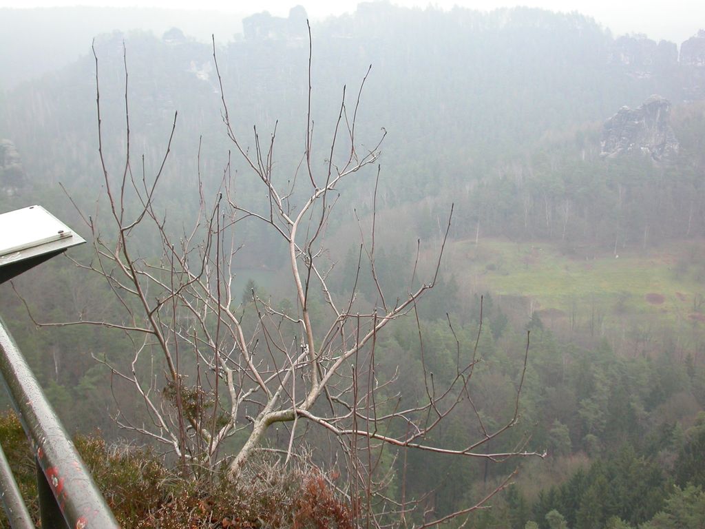 Photo №11 of Verlorener Turm