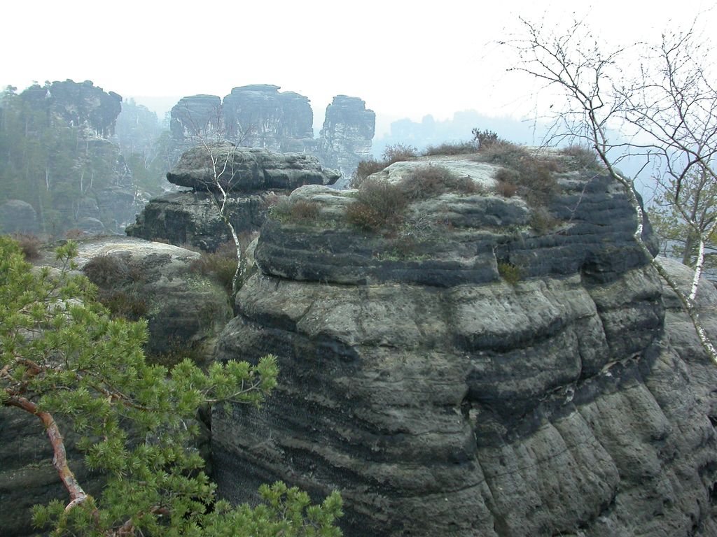 Photo №3 of Pate