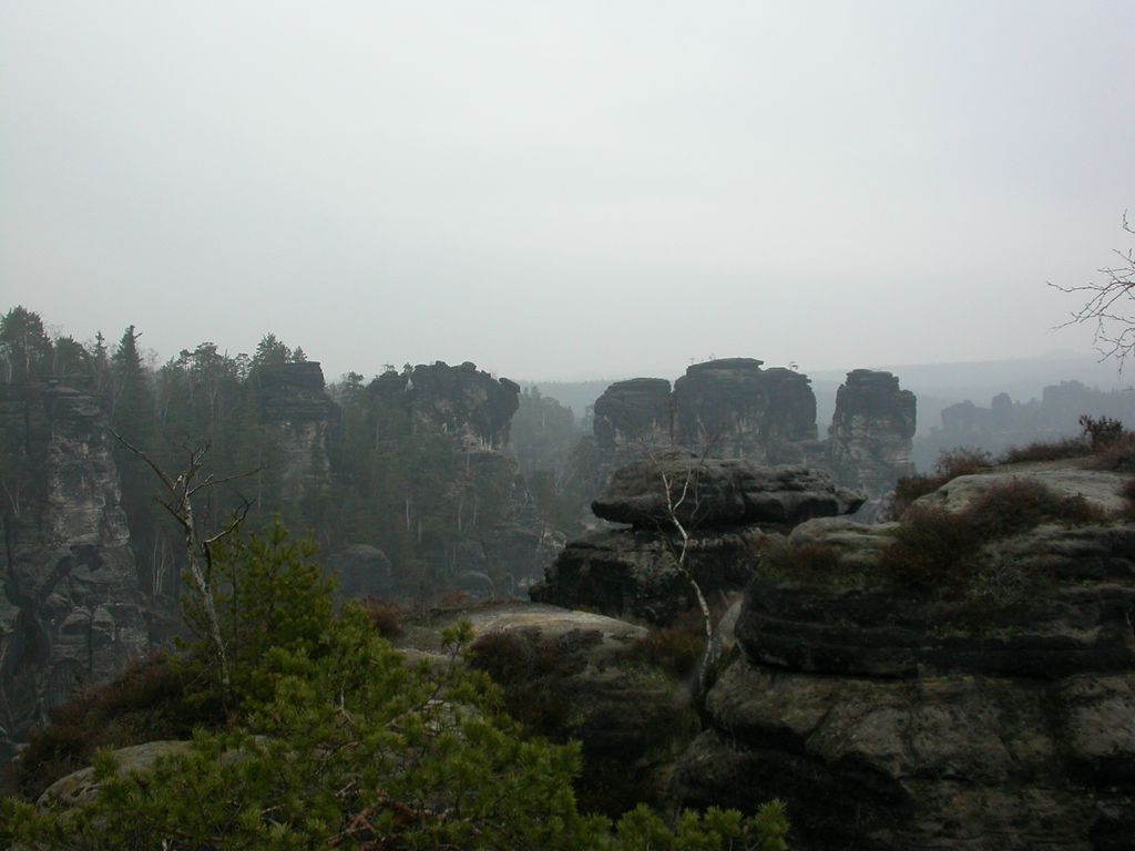 Photo №4 of Pate