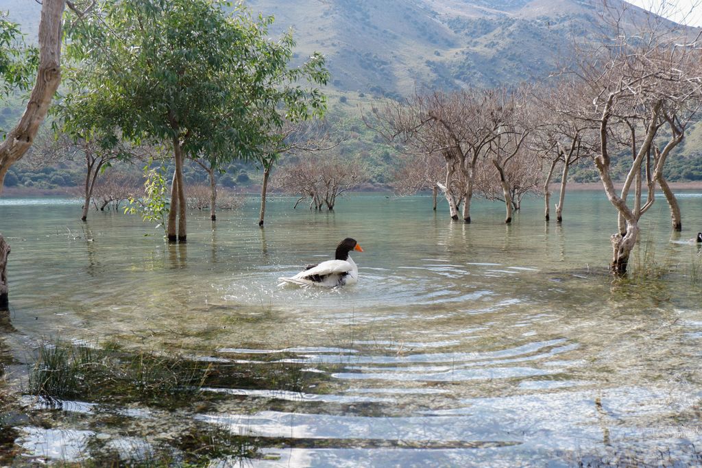 Photo №3 of Lake Kourna