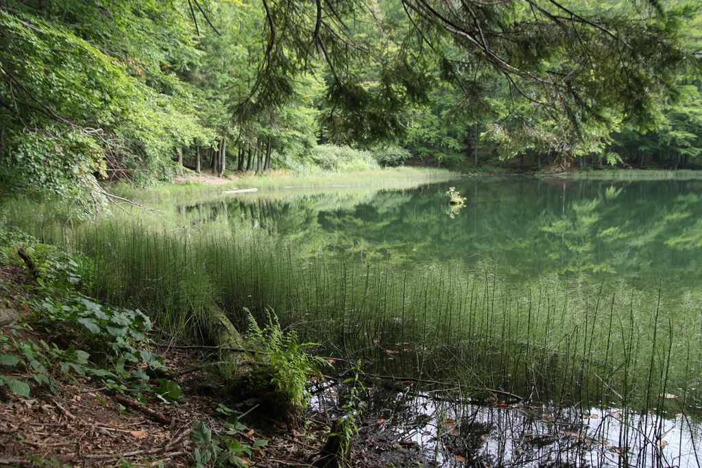 Photo №3 of Jeziorko Duszatyńskie Górne