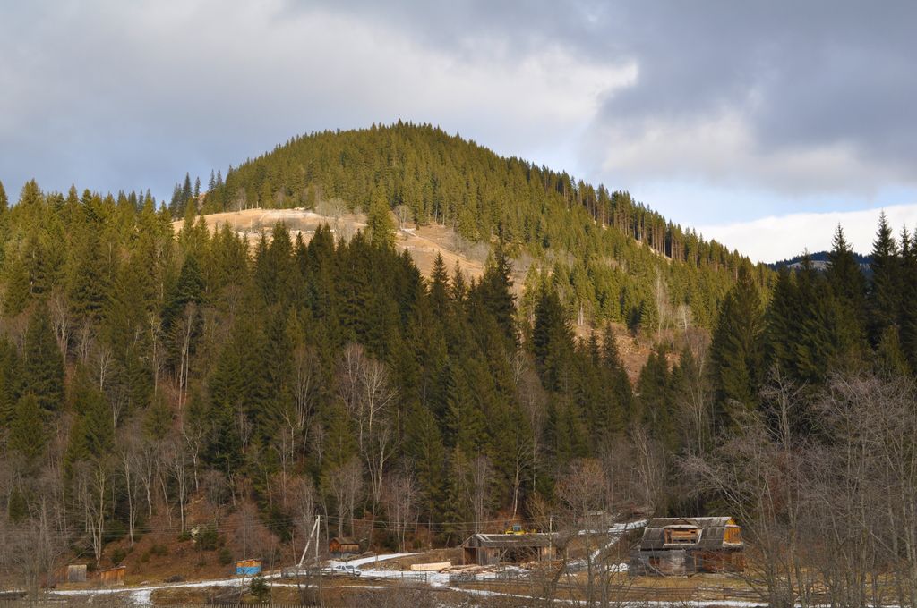 Photo №3 of Dzembronia