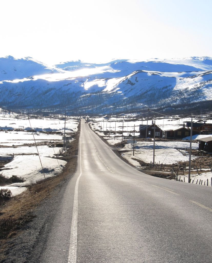 Photo №2 of Filefjell