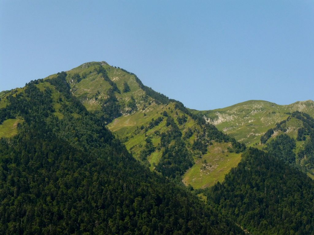 Photo №2 of Era Entecada