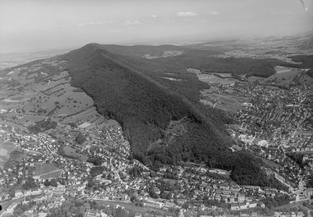 Photo №3 of Sandbuck