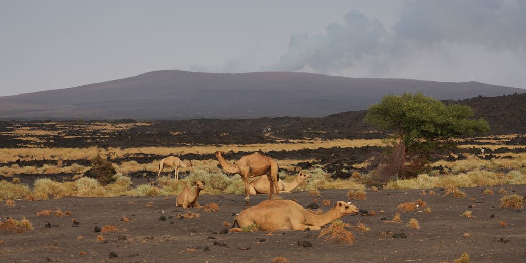 Photo №3 of Erta Ale