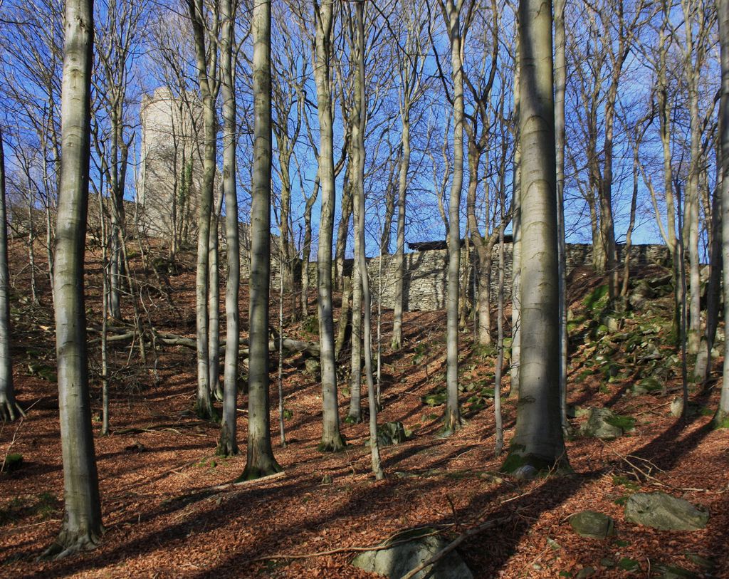 Photo №2 of Ebersberg