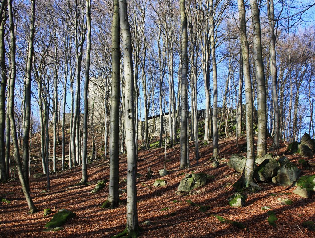 Photo №3 of Ebersberg