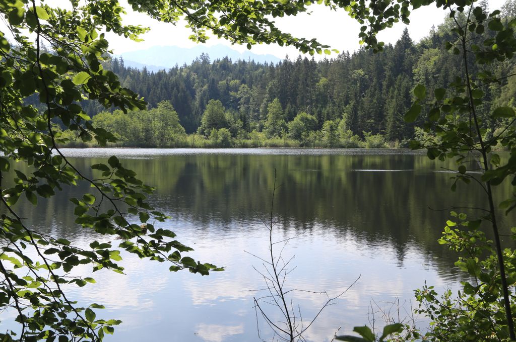 Photo №2 of Egelsee