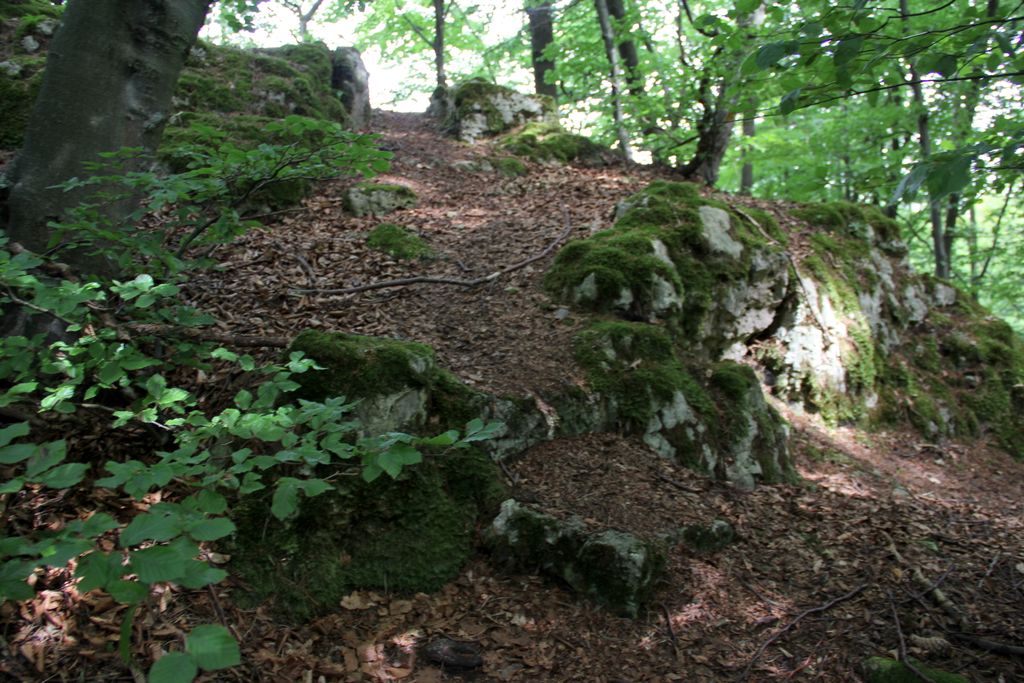 Photo №2 of Buchenberg