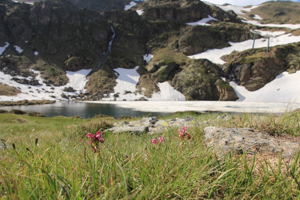 Photo №2 of Estany de Creussans