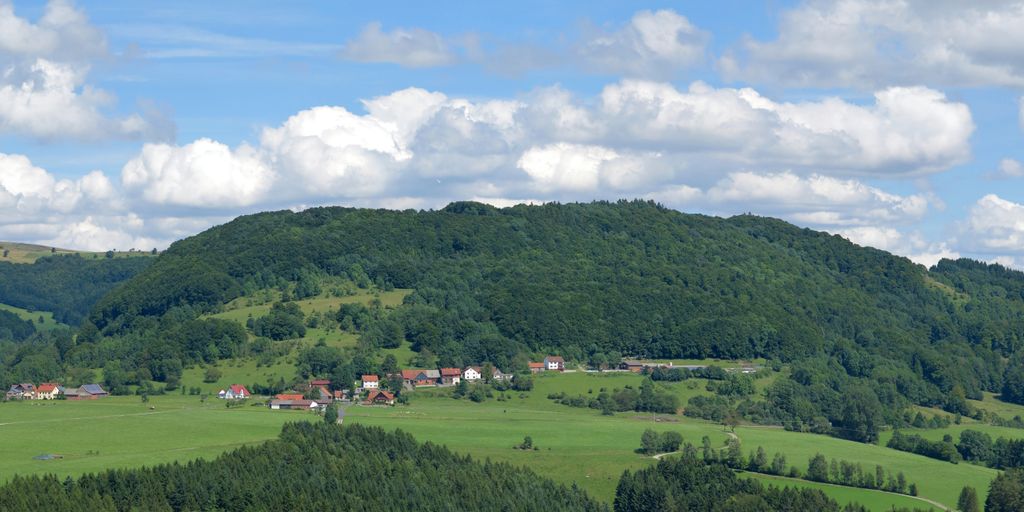 Photo №6 of Wachtküppel