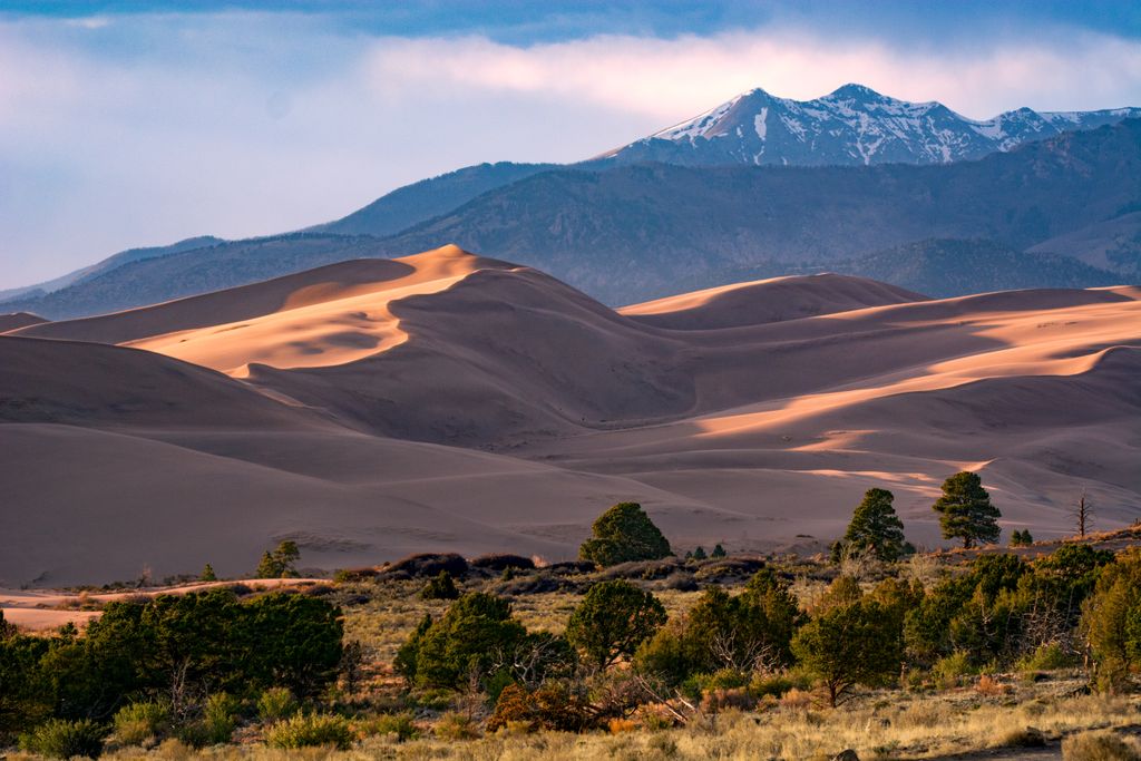 Evening_Light_on_Dunes%2C_Early_Summer_(52135598349)