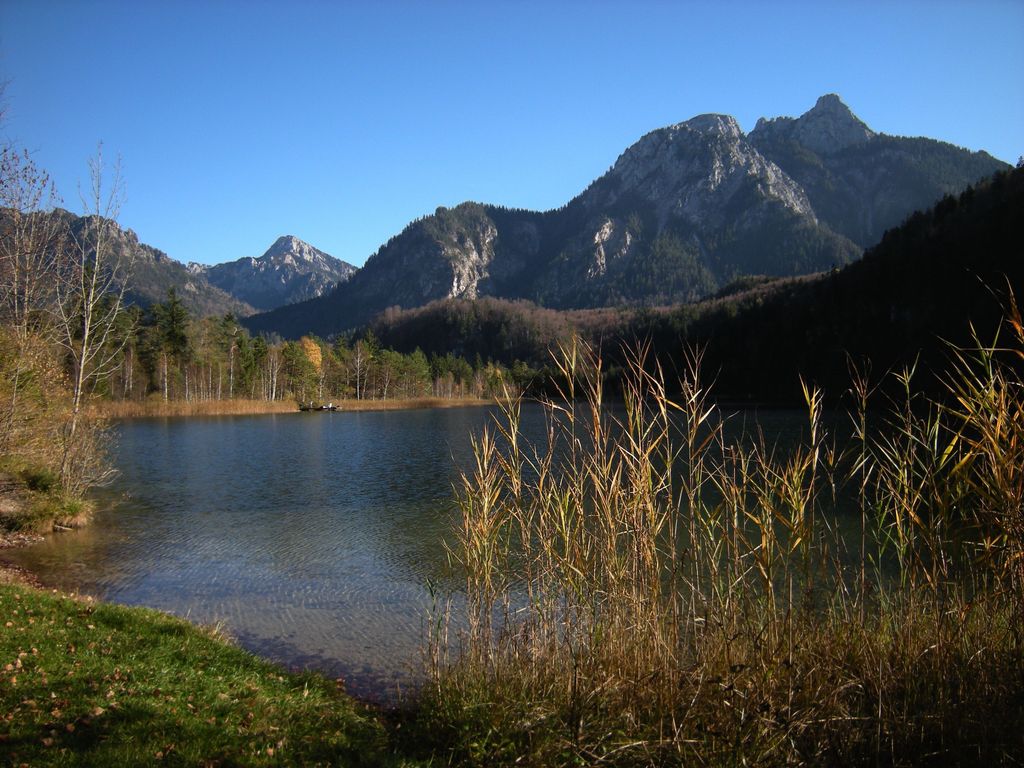 Photo №2 of Schwansee
