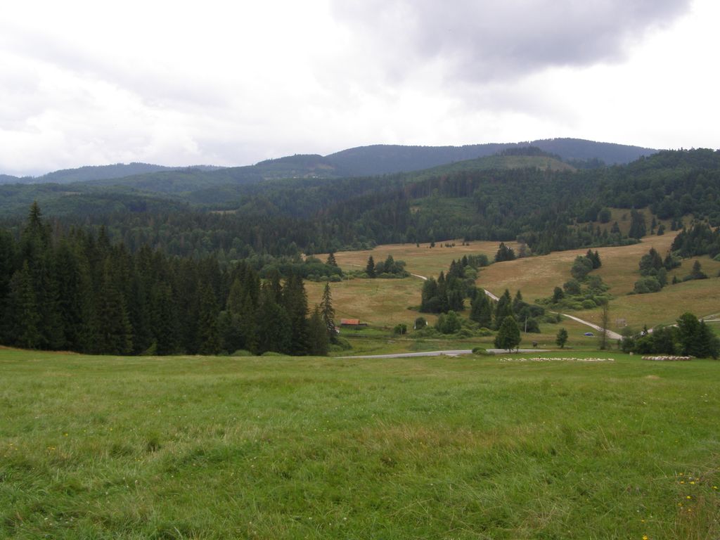Zbojská