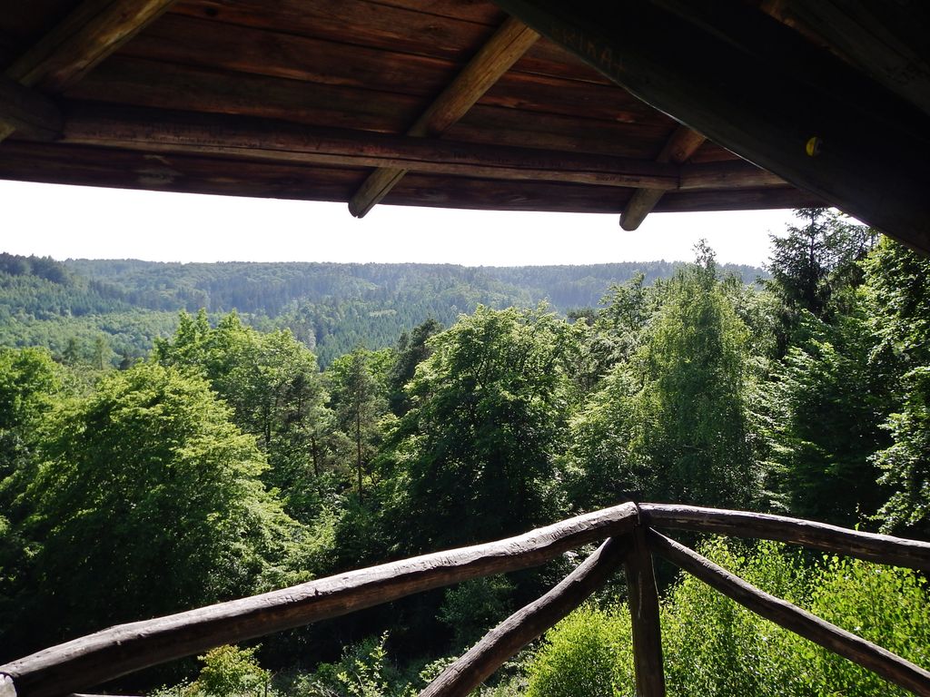 Falkenkopf_-_panoramio_(1)