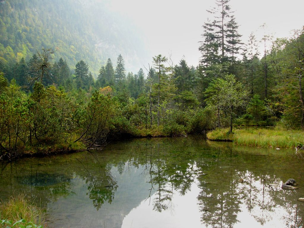 Photo №4 of Falkensee