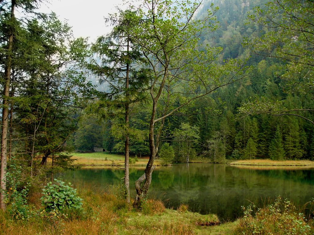 Photo №8 of Falkensee