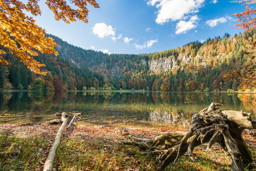 Feldsee