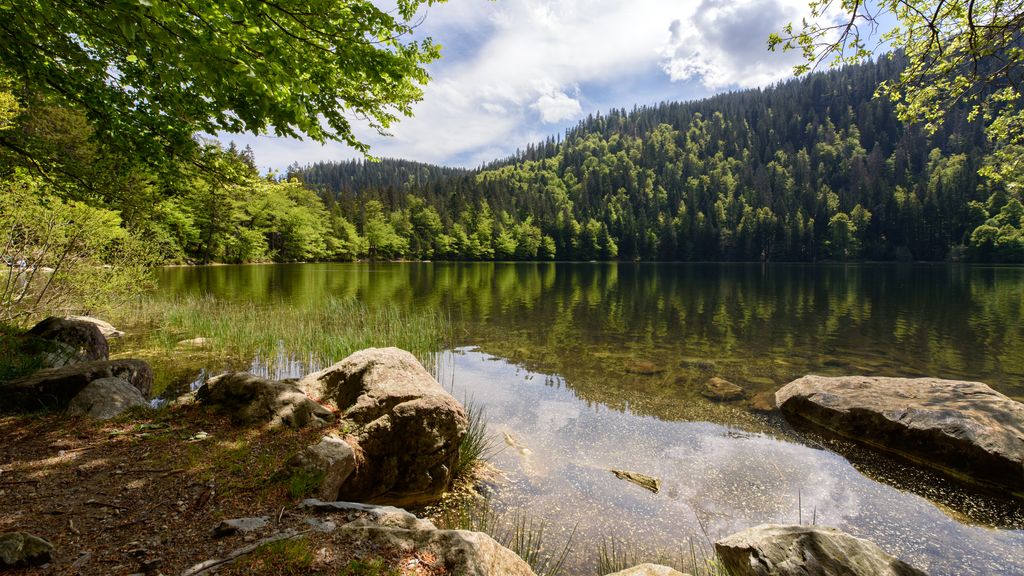 Feldsee