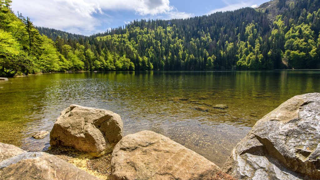 Feldsee