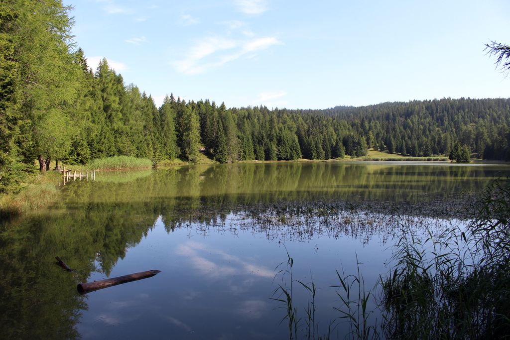 Photo №3 of Felixer Weiher - Lago di Tret