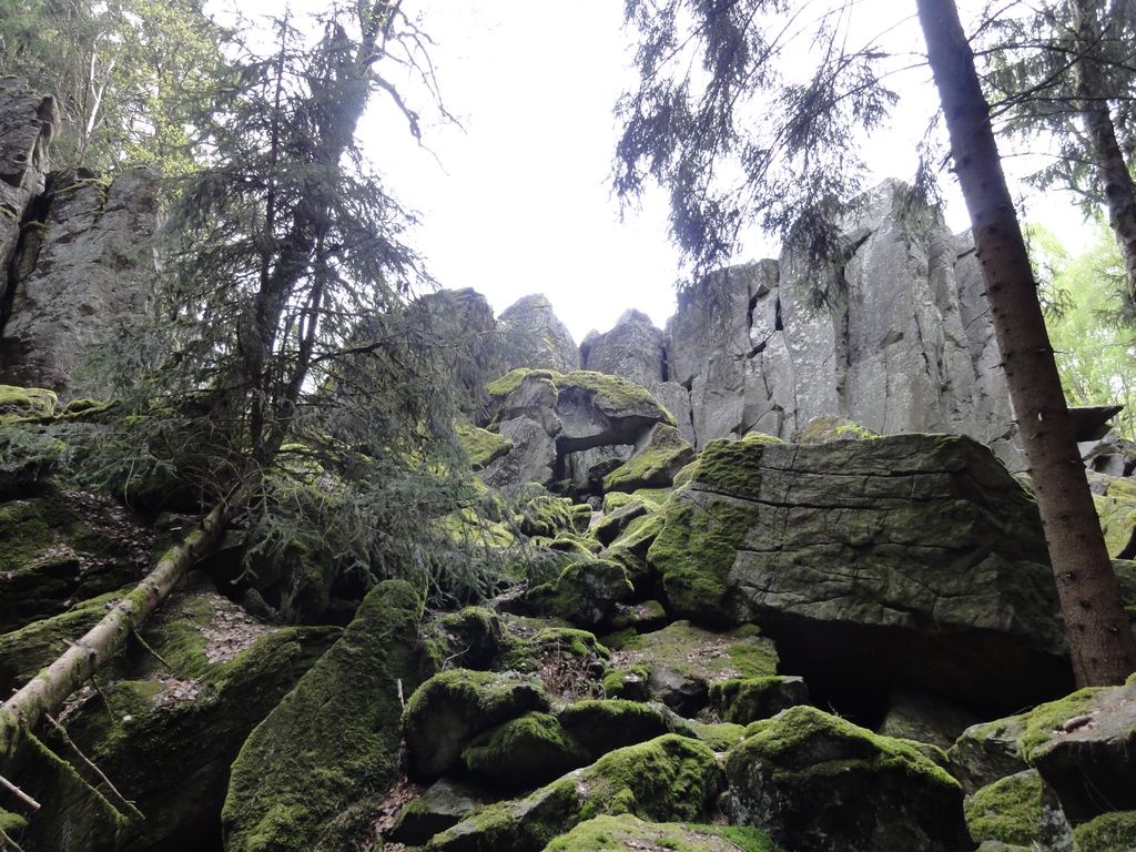 Photo №3 of Wachtküppel