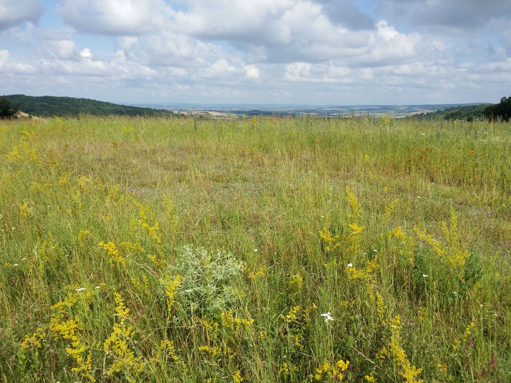 Photo №2 of Hausberg