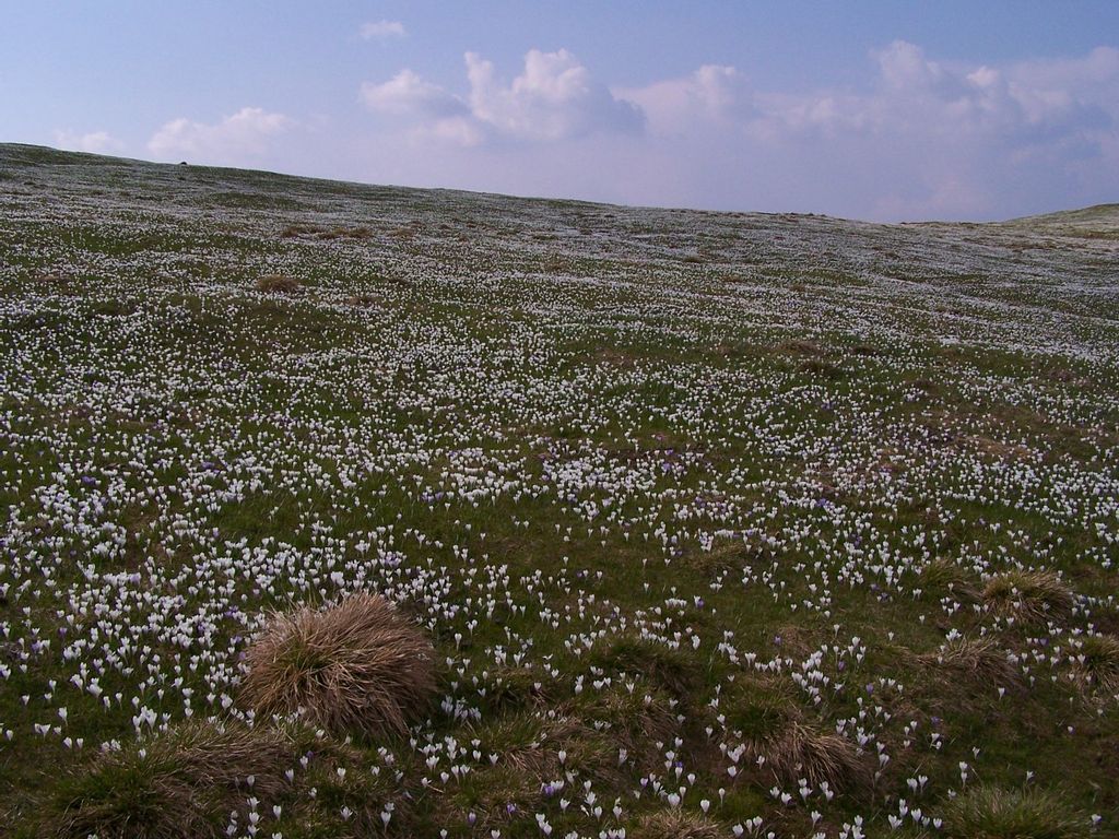 Photo №2 of Passo delle Fittanze della Sega