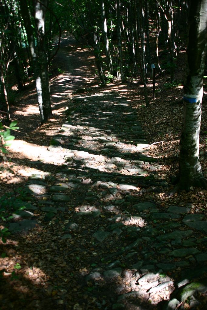 Photo №2 of Passo della Futa