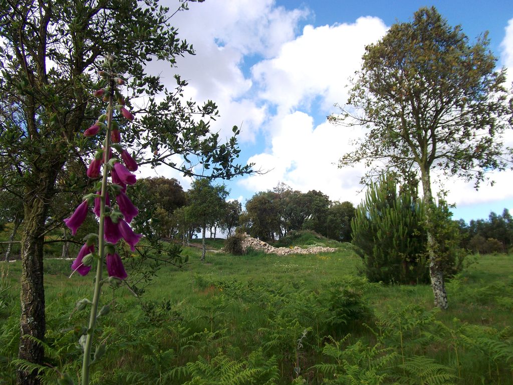 Photo №2 of Cividade de Terroso