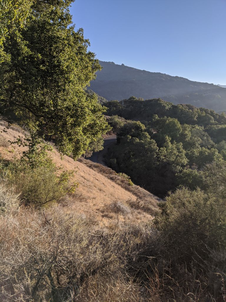 Vista Hill