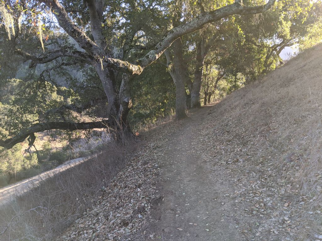 Vista Hill
