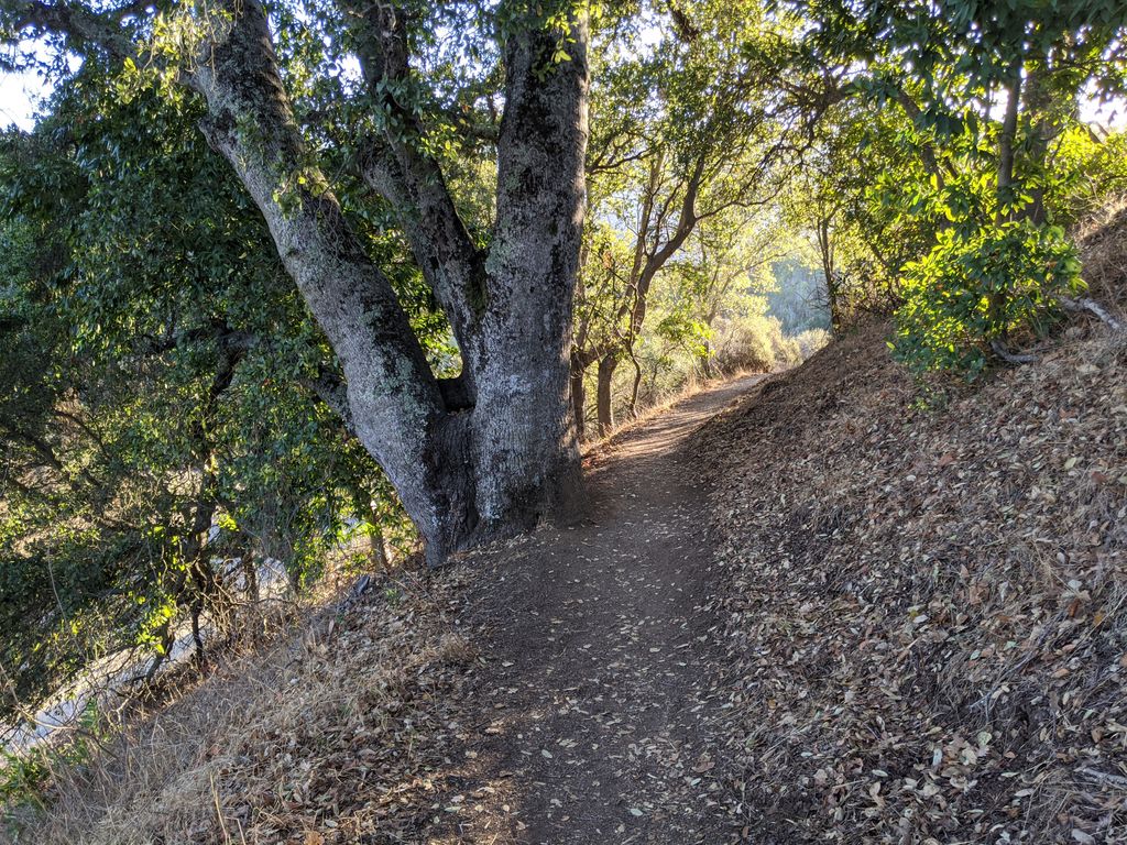 Vista Hill
