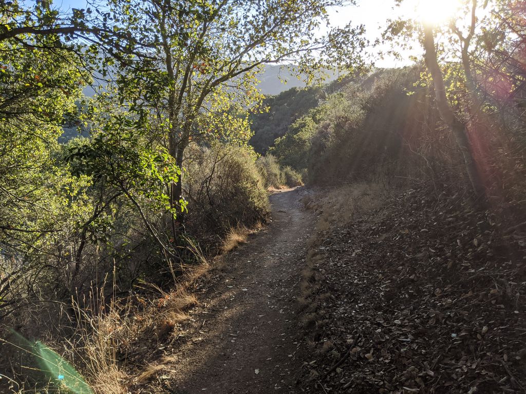Vista Hill
