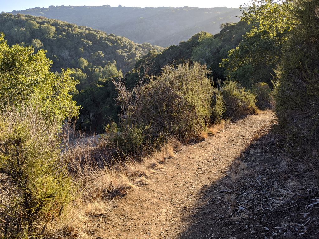 Vista Hill