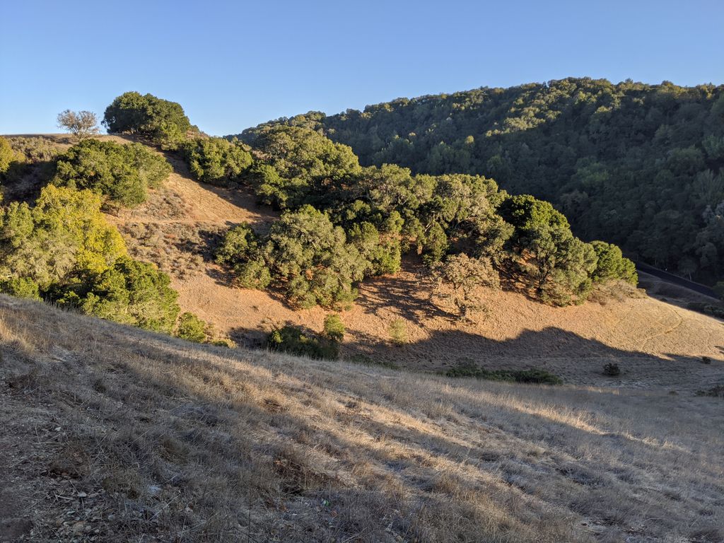 Vista Hill