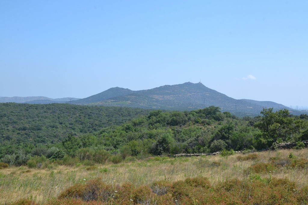 Photo №3 of Força Réal