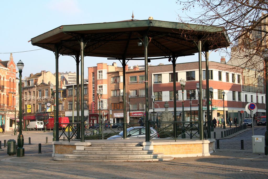 Photo №2 of Forest - Vorst